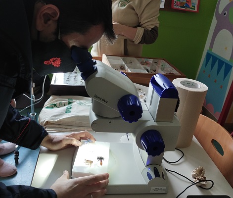 Il Centro Nazionale Carabinieri Biodiversità di Bosco Fontana visita la Pediatria di Borgo Mantovano