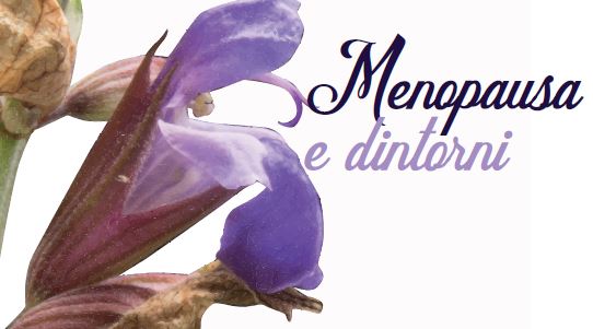 Menopausa e dintorni