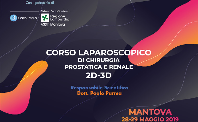 CORSO LAPAROSCOPICO DI CHIRURGIA PROSTATICA E RENALE 2D-3D