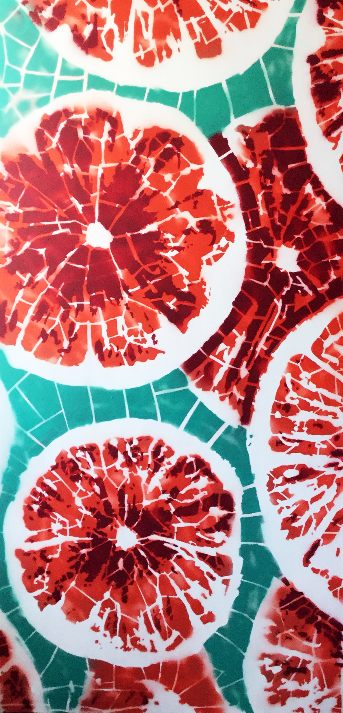 LA BELLEZZA SALVERÀ IL PIATTO-4