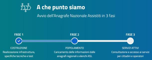 anagrafe nazionale assistiti - cronoprogramma